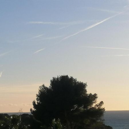 Sanary Les Gorguettes, Studio Avec Terrasse Vue Mer, A 10 Min A Pieds De La Plage Exterior foto